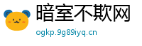 暗室不欺网